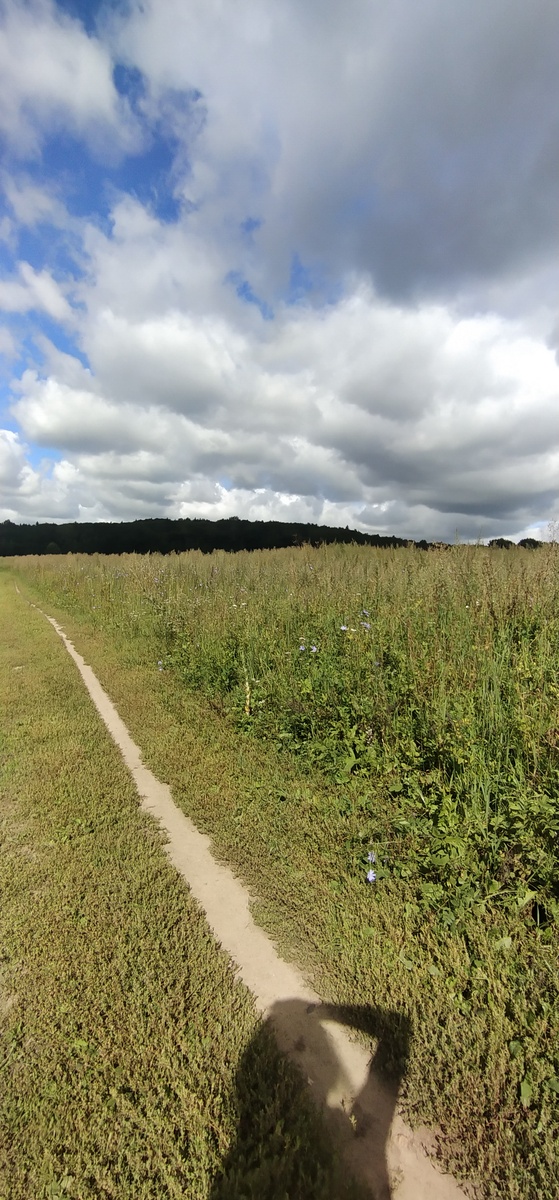 Личное фото