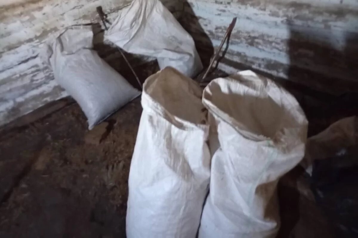    Жительница Омской области отделалась условным сроком за сбор конопли