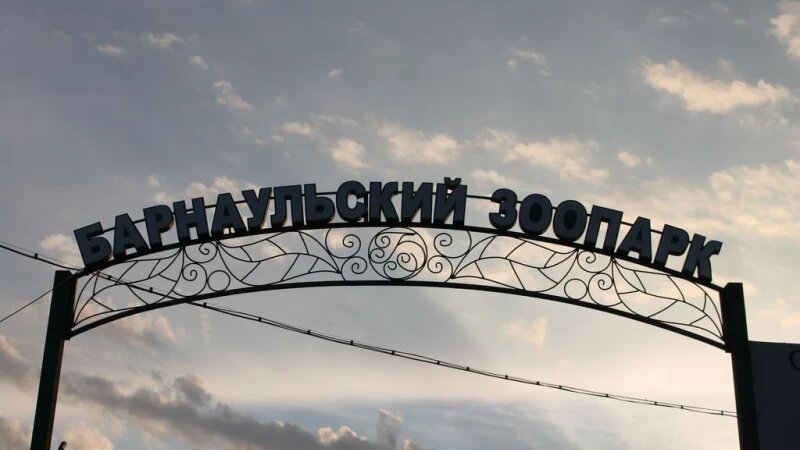     Ночь в Барнаульском зоопарке 30 июня 2017. Александра Фоменко.