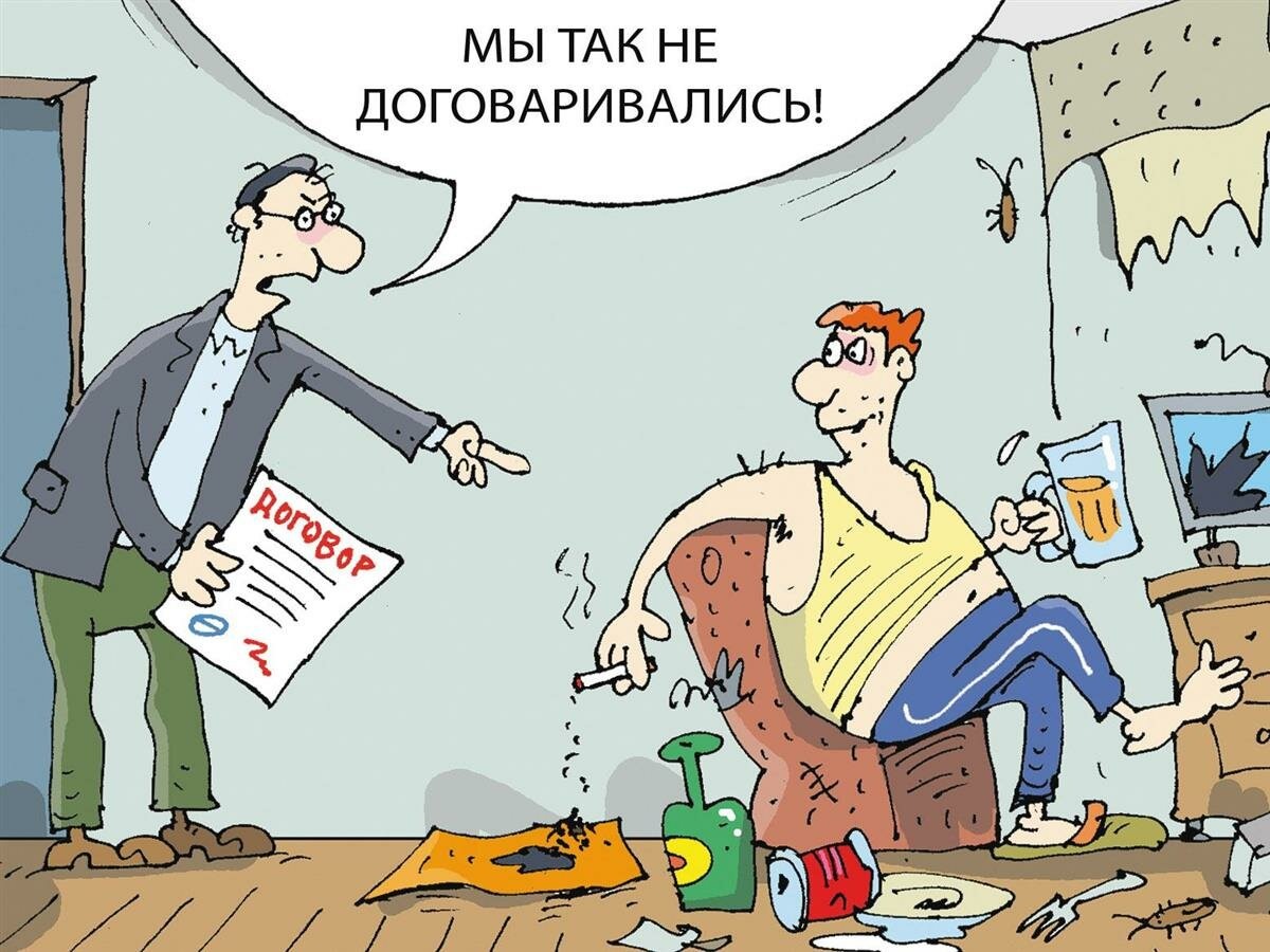 Фото из открытых источников интернета 