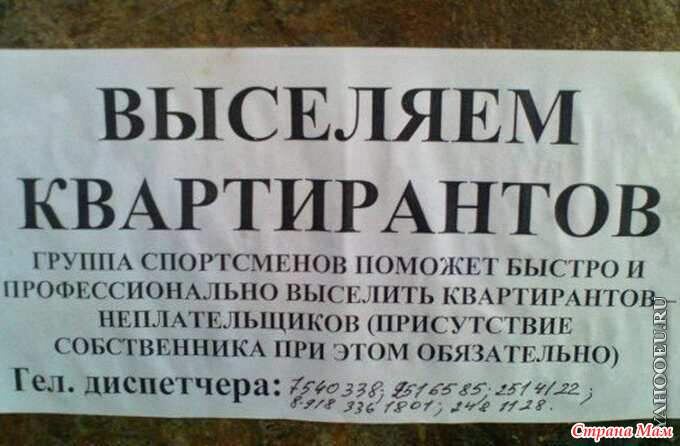 Фото из открытых источников интернета 