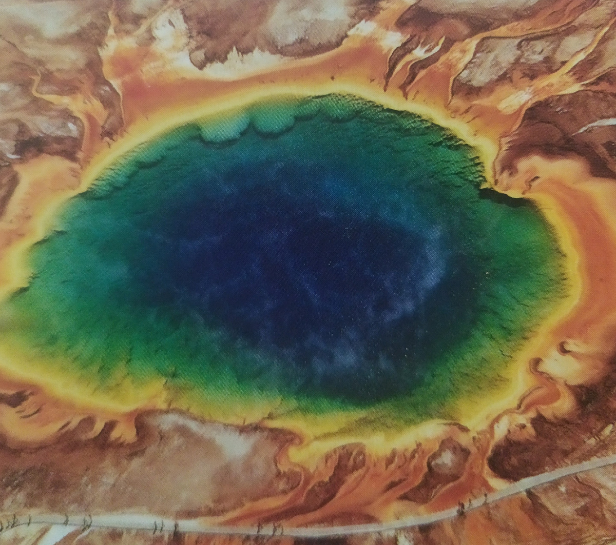 Бактерии и водоросли, живущие в богатых минералами горячих источниках Йеллоустонского национального парка в США, причудливо окрашивают воду и берег