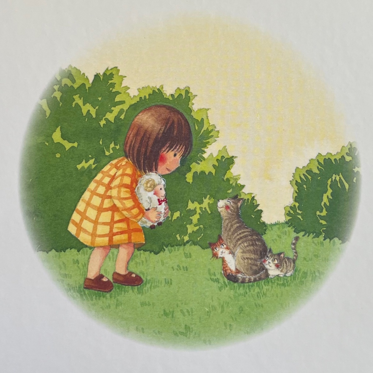 Иллюстрации к обратной стороне обложки. Фото автора.