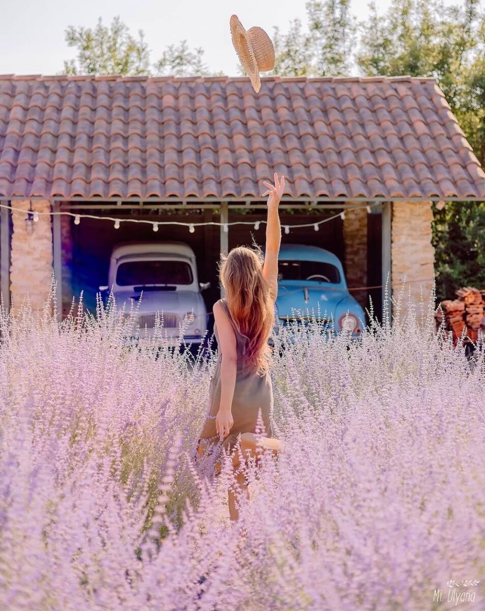 Листайте вправо, чтобы увидеть больше изображений