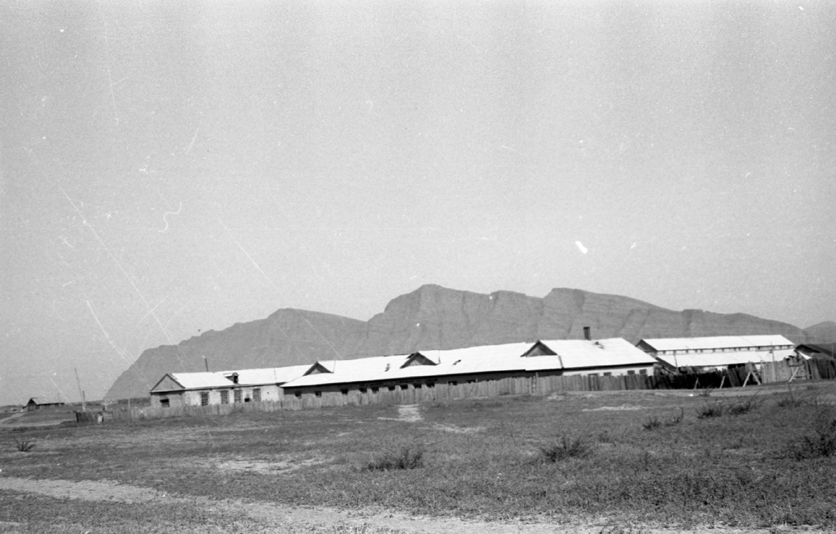 Потрошилово