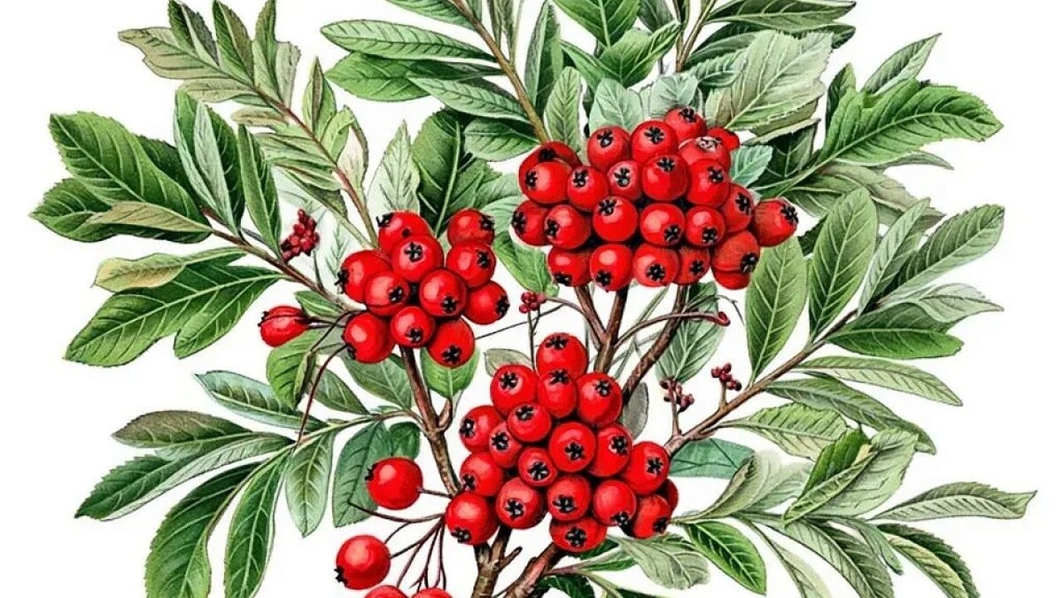    Изображение создано с помощью ИИ.