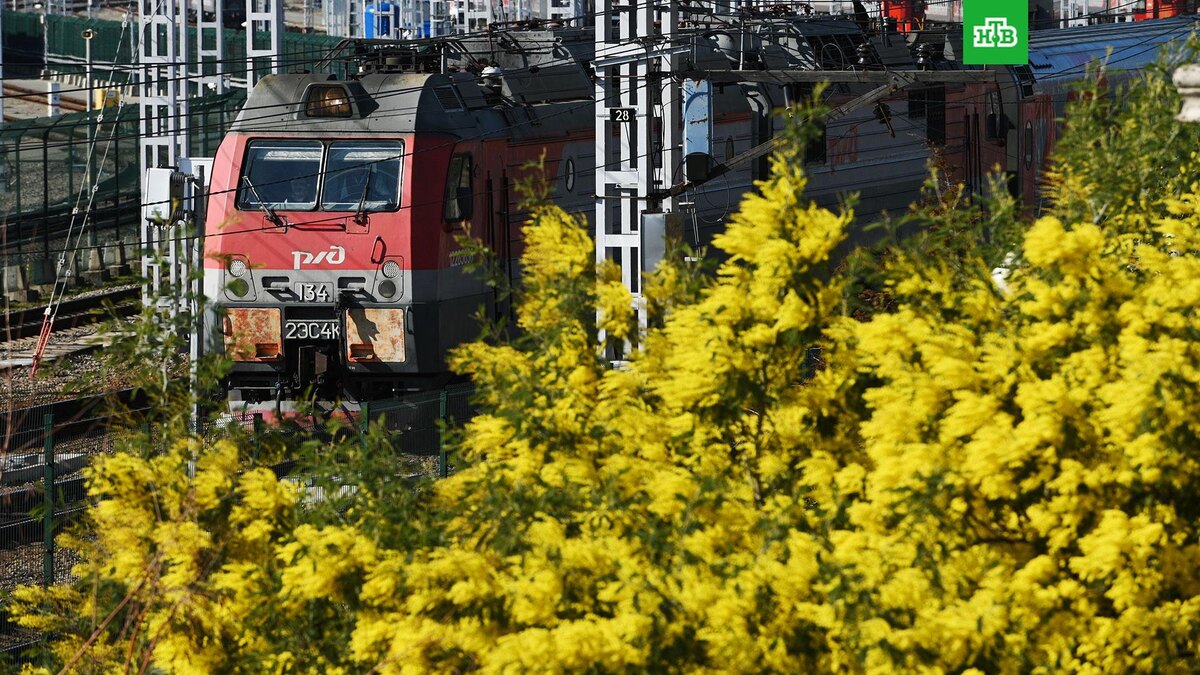    Фото: РИА Новости © 2025, Екатерина Лызлова