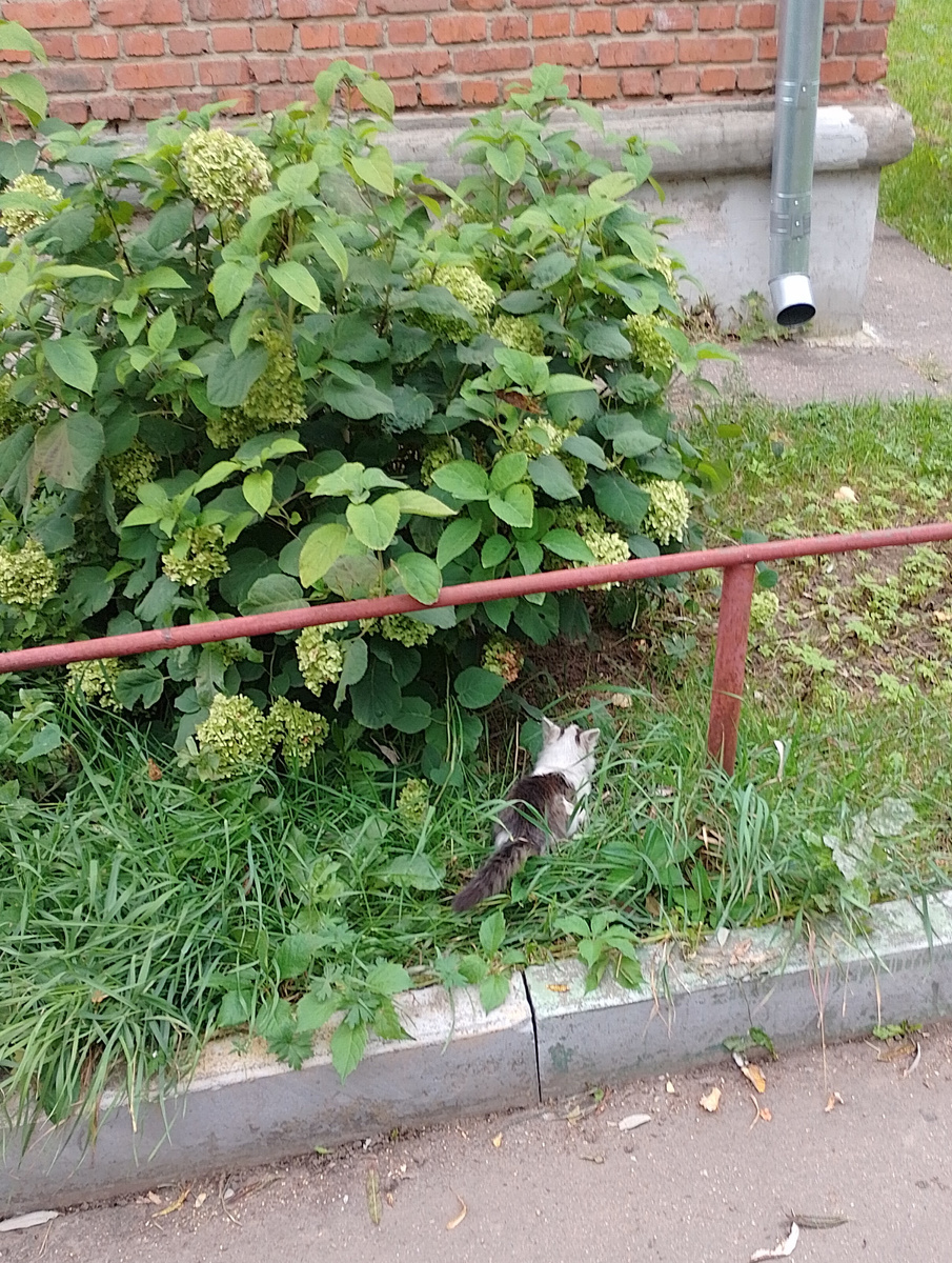 Фото автора.