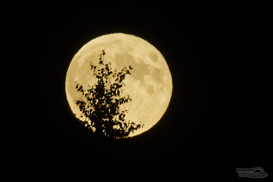    Фото: Лидия Аникина © ИА «Уральский меридиан»