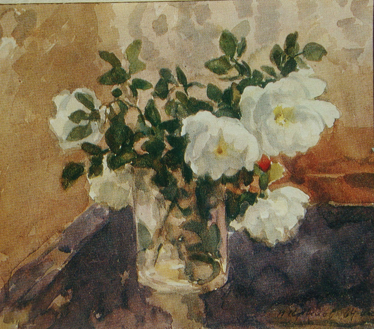 П.Н. Крылов ,, Белый шиповник ,,    1964 год   Бумага , акварель. 