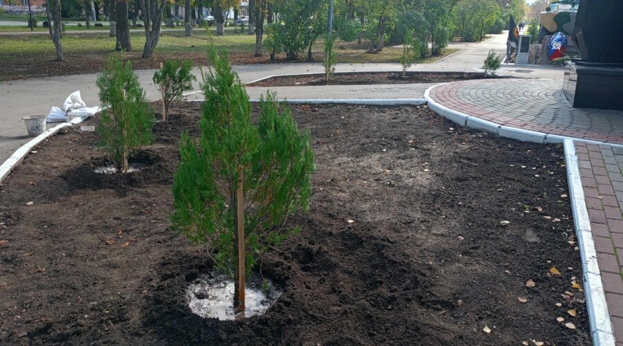    Фото: Администрация БМР