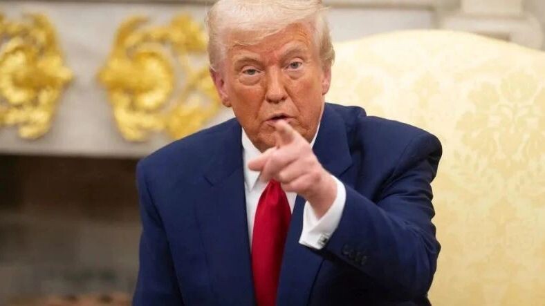    Фото: noamgalai/Shutterstock/Fotodom