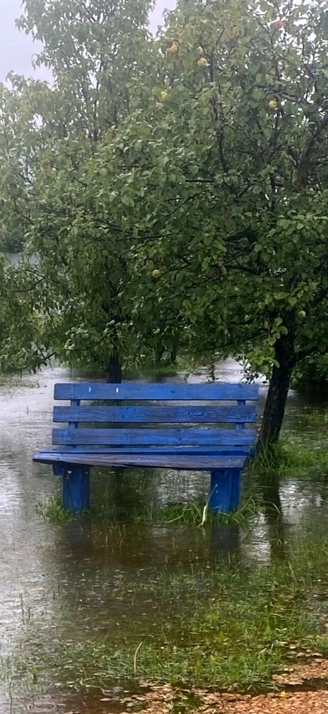 Приятная атмосфера летнего сада))) 