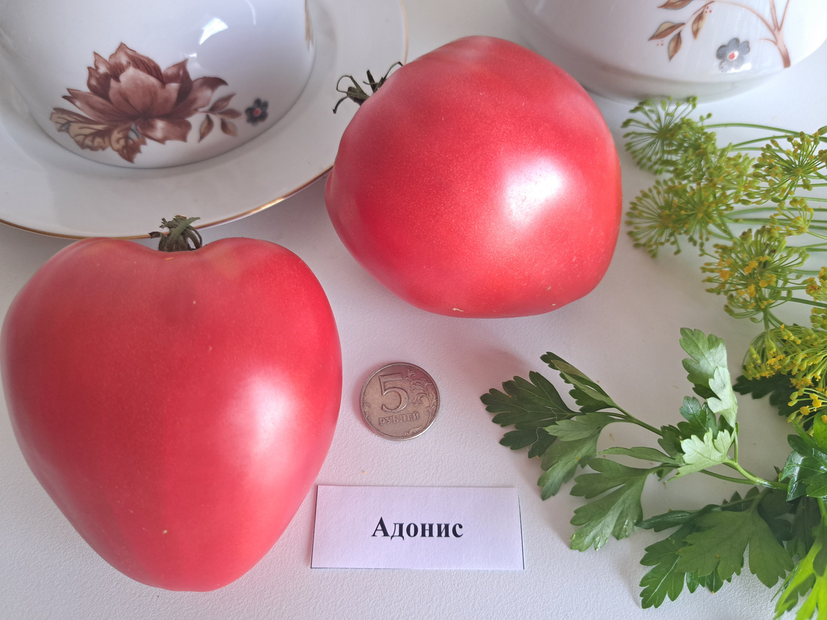 ЛИСТАЙТЕ ВПРАВО