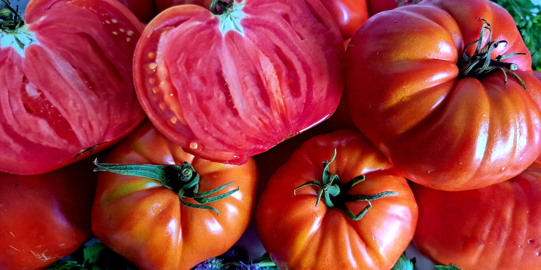 КАТАЛОГ томатов на 2026 г. №1