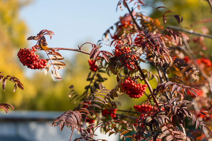    Фото Андрея Заржецкого