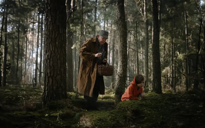 Кадр из фильма «На деревню дедушке». Главные персонажи в лесном походе за грибами