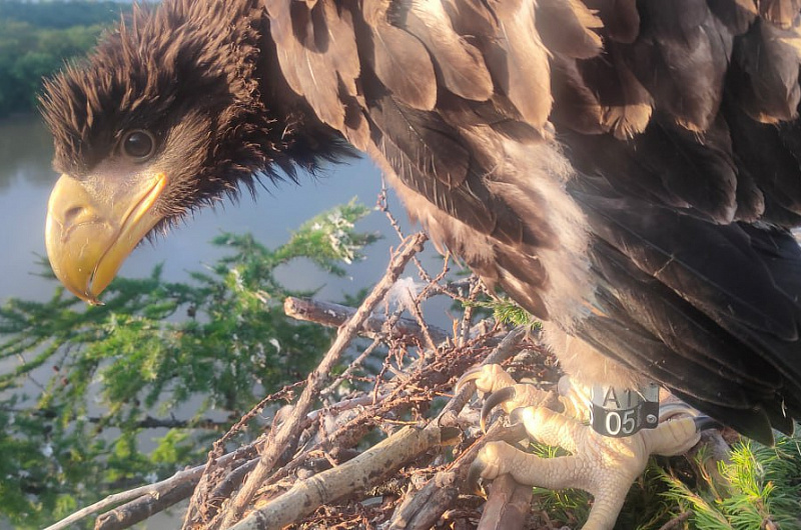 А. Шаров, М. Бабушкин