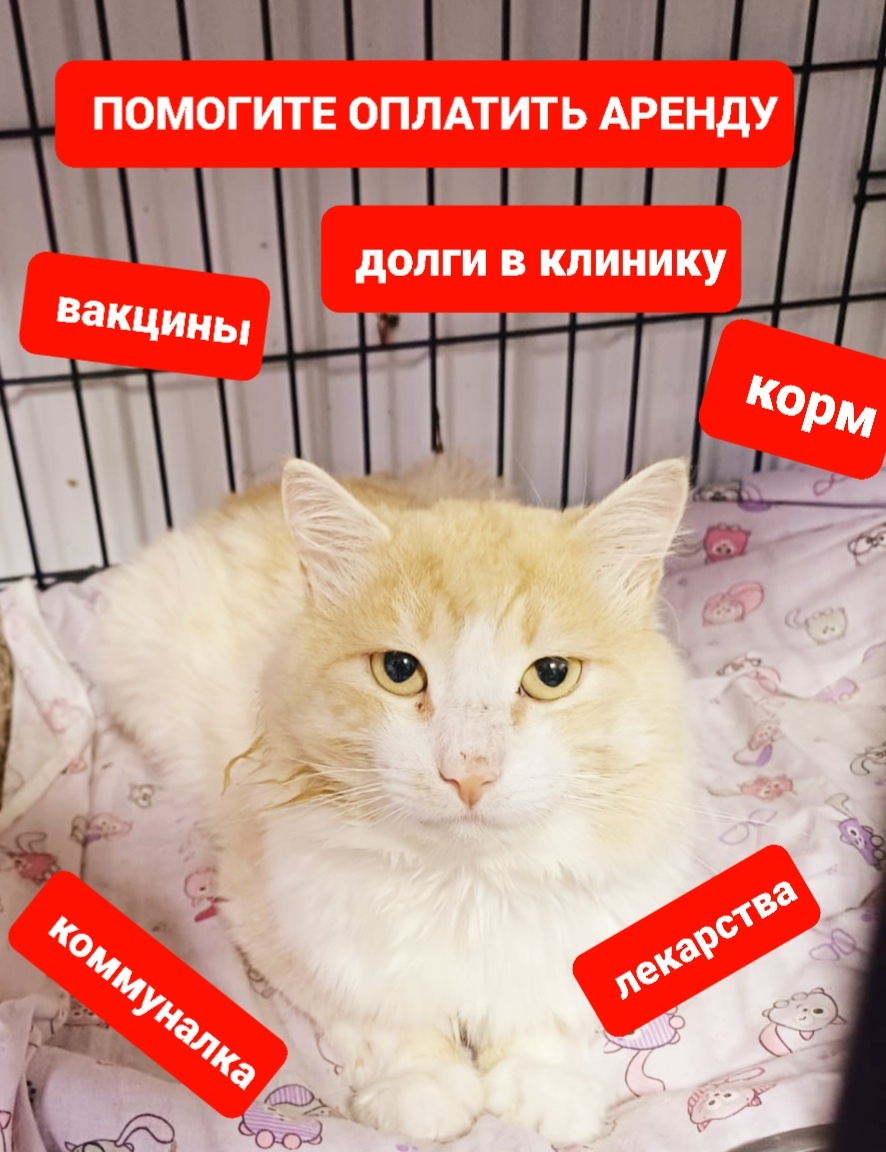 Академик Леня