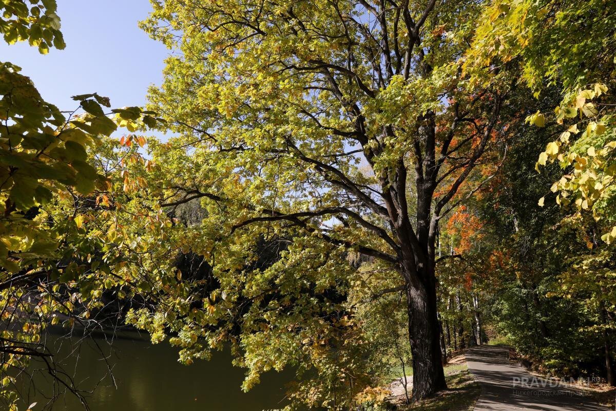    Посещение леса в этот день считалось опасным