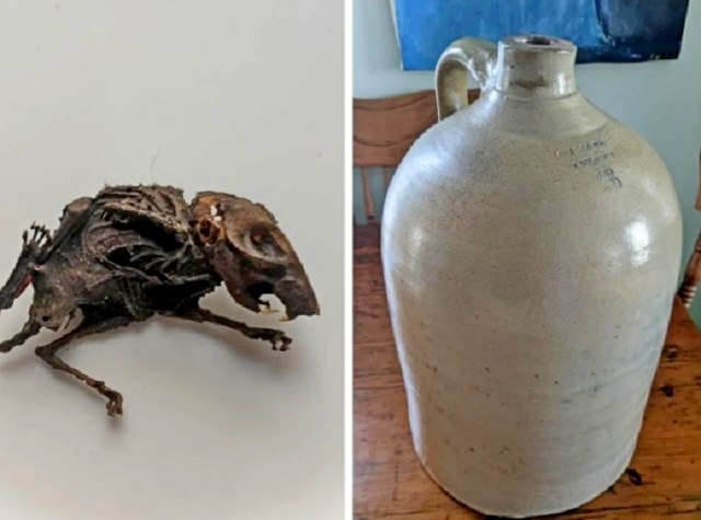 Мумия неизвестного животного в кувшине.