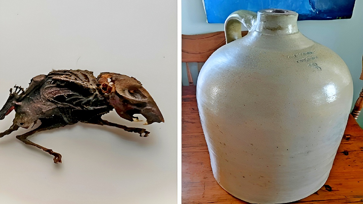 18 случаев, когда привычное оказалось совсем не таким, как мы думали