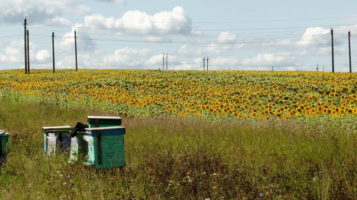 Фото предоставлено Эльвирой Шакировой