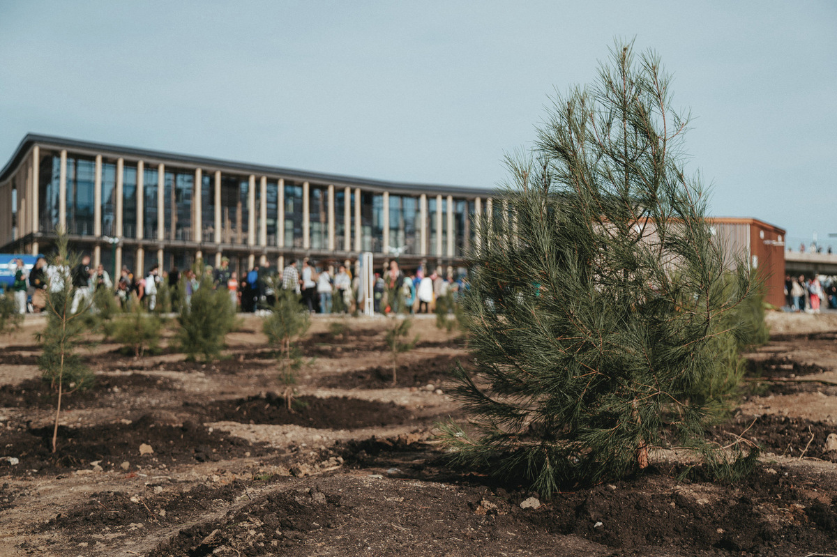 Зелёный фестиваль «Таврида.АРТ»
Фото пресс-службы арт-кластера