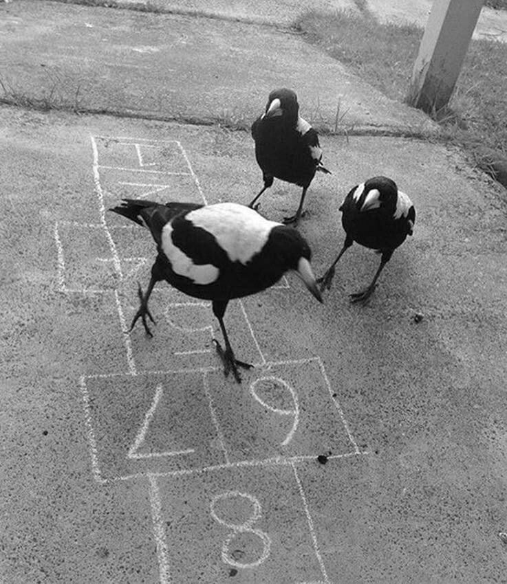 Фото из сети интернет 