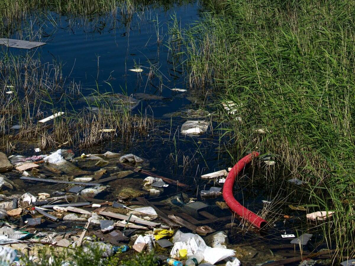 Дрожжи очистят сточные воды от токсичного азота / ©   
 OSPAN ALI, unsplash.com📷
