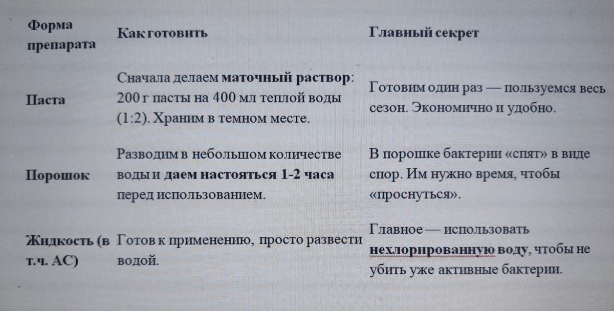 Таблица и фото Натальи Мироновой
