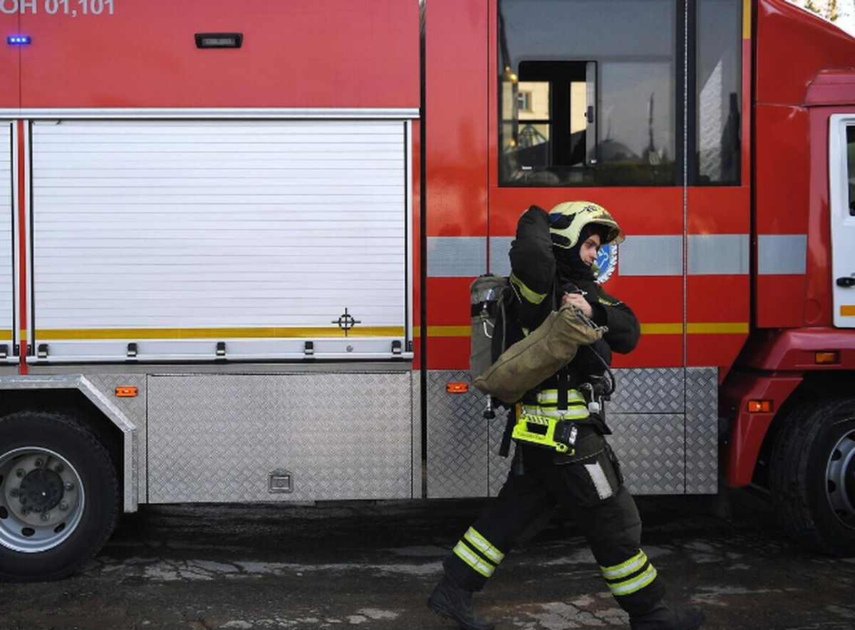    Фото: Светлана Шевченко, источник: РИА Новости
