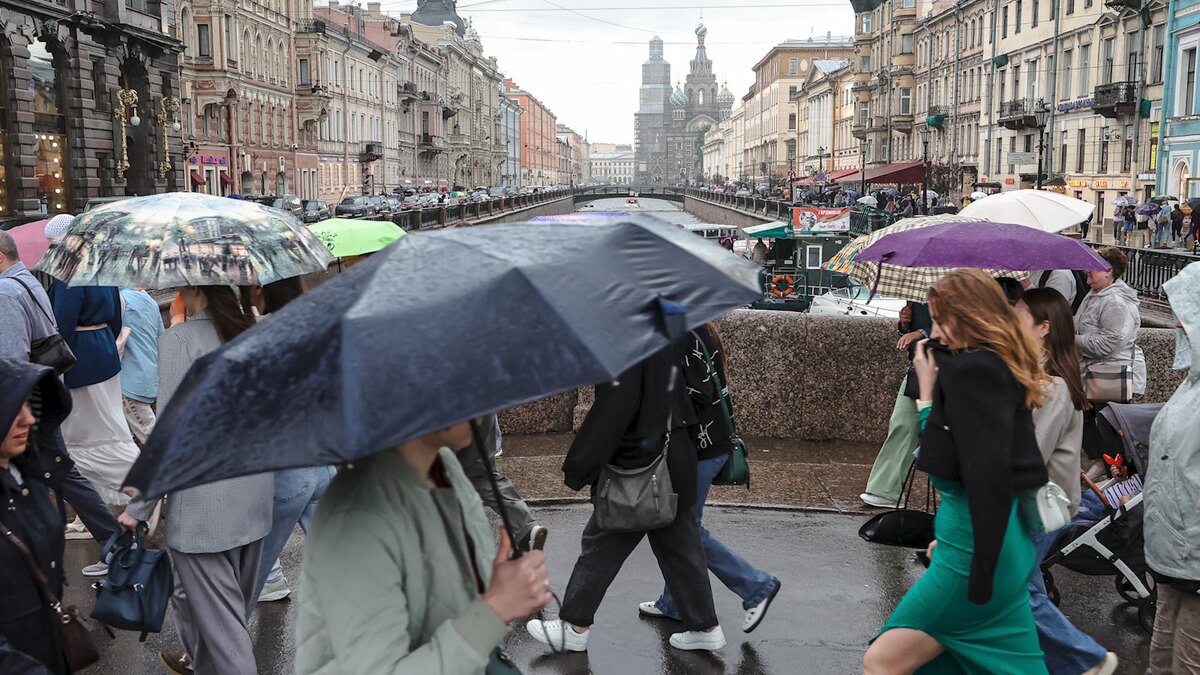    Фото: Roman Naumov/globallookpress.com