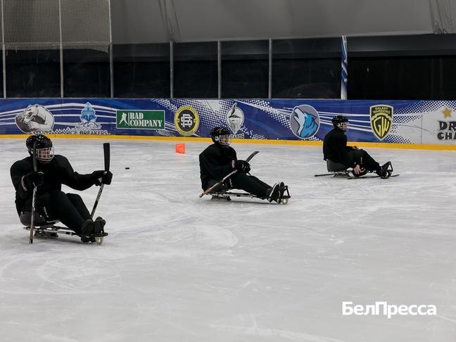 Фото: Павел Колядин