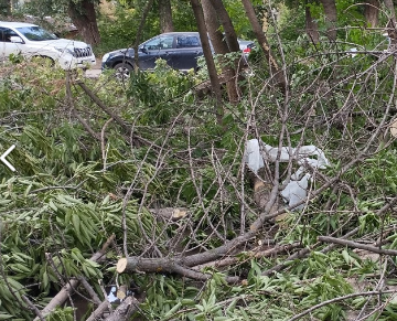    Фото из архива Progorod