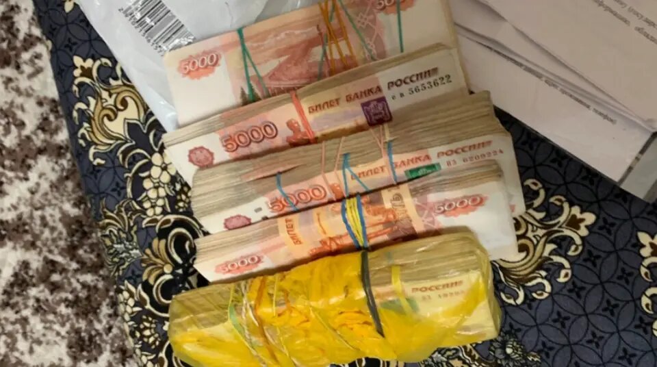    Фото: кадр видео ГУ МВД по Петербургу и Ленобласти