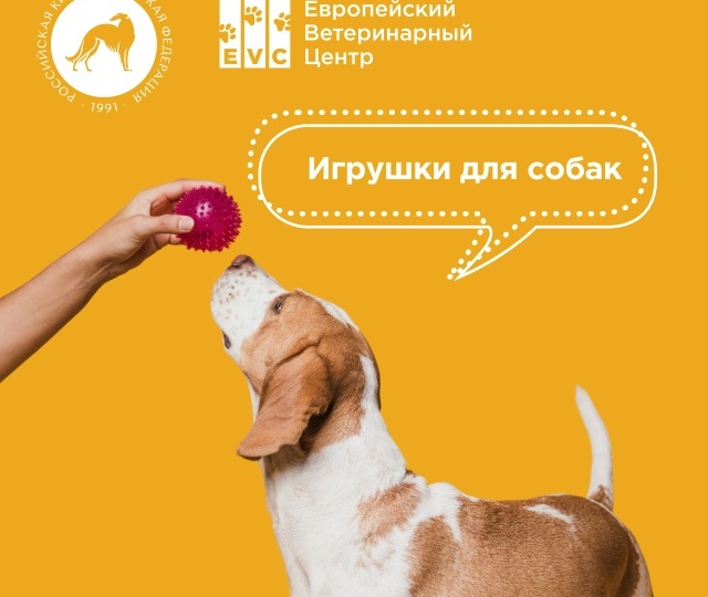 Какие игрушки выбирать для собак?
