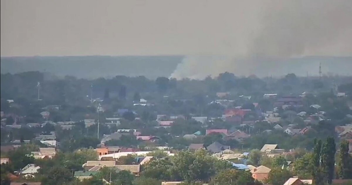 Фото: пресс-служба Краевого лесопожарного центра