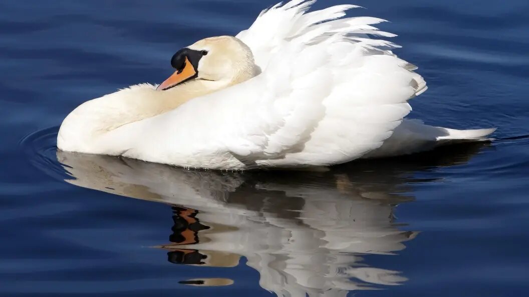    Stefan Ziese/imageBROKER.com/Globallookpress