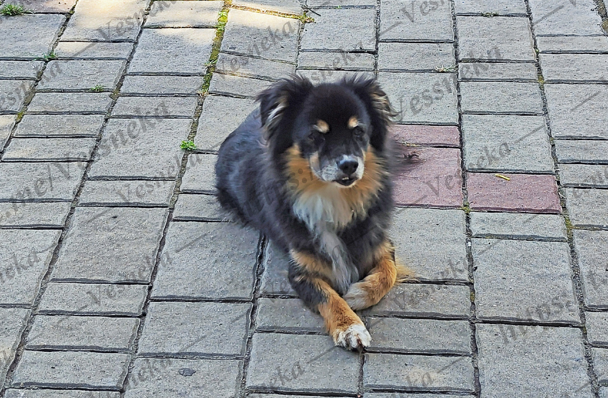 Фото автора