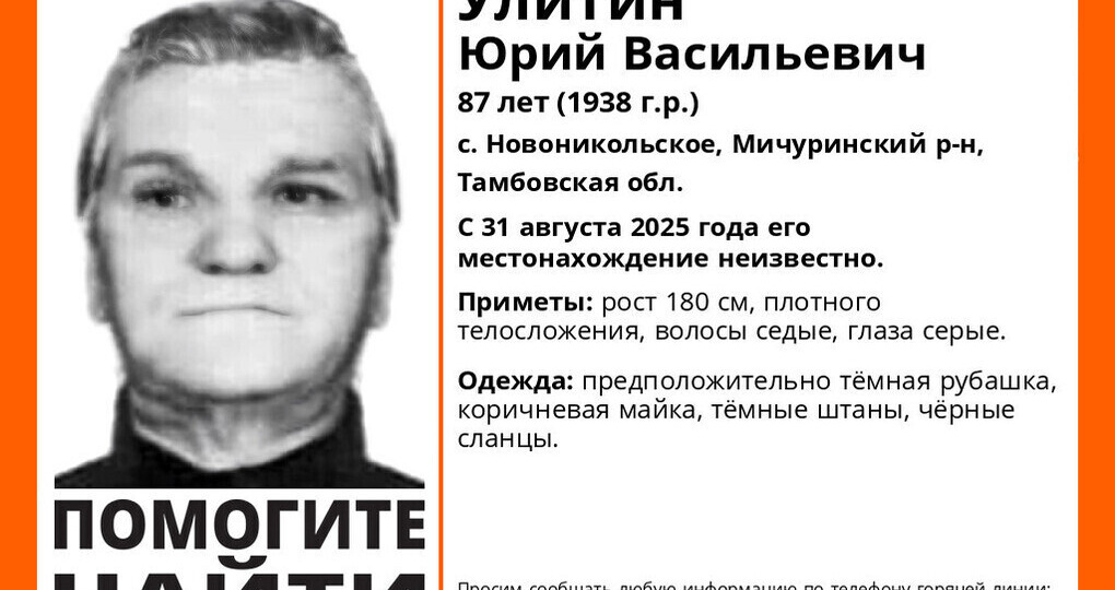 Дедушку в чёрных сланцах ищут в Мичуринском округе