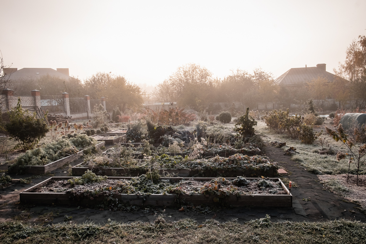 Органический огород. Природное земледелие. Sadovnikomstany