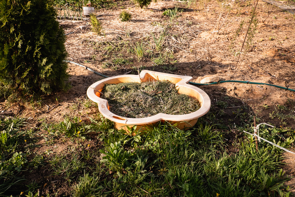 Я никогда не выбрасываю никакую органику. Складываю каждую травинку и все отправляется обратно на грядки.