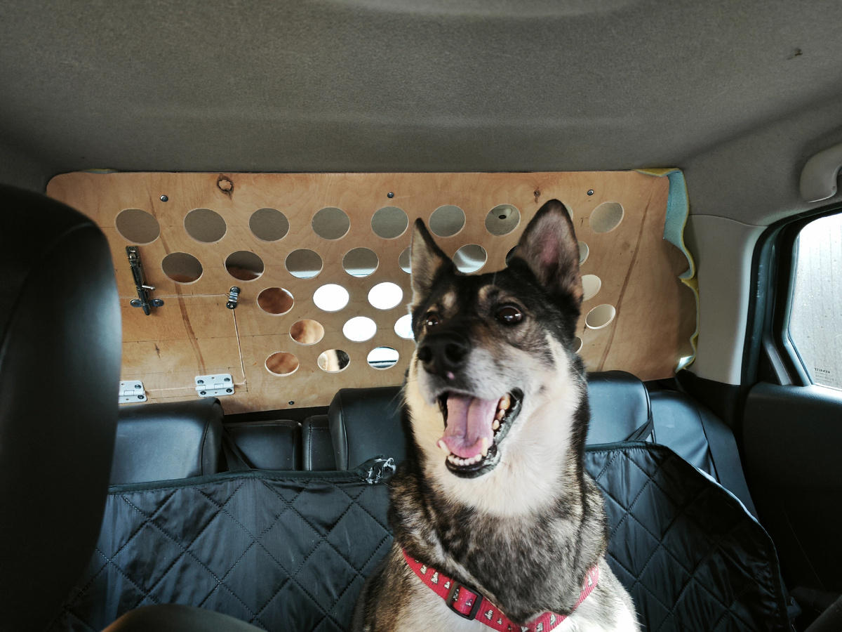 Хэппи радовалась поездке больше всех
