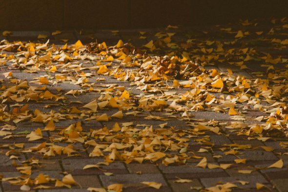     Khristina Sergeychik/Unsplash