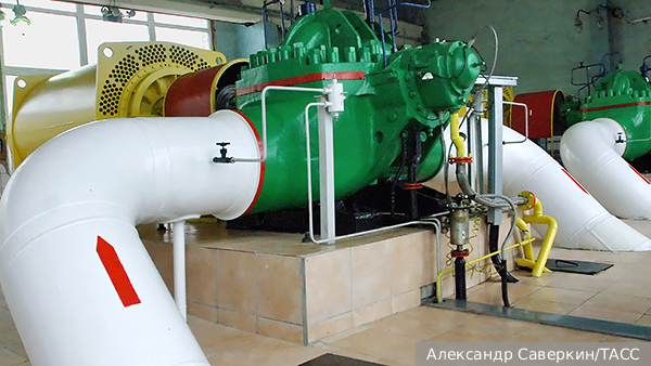     Фото: Александр Саверкин/ТАСС   
 Текст: Алексей Дегтярев