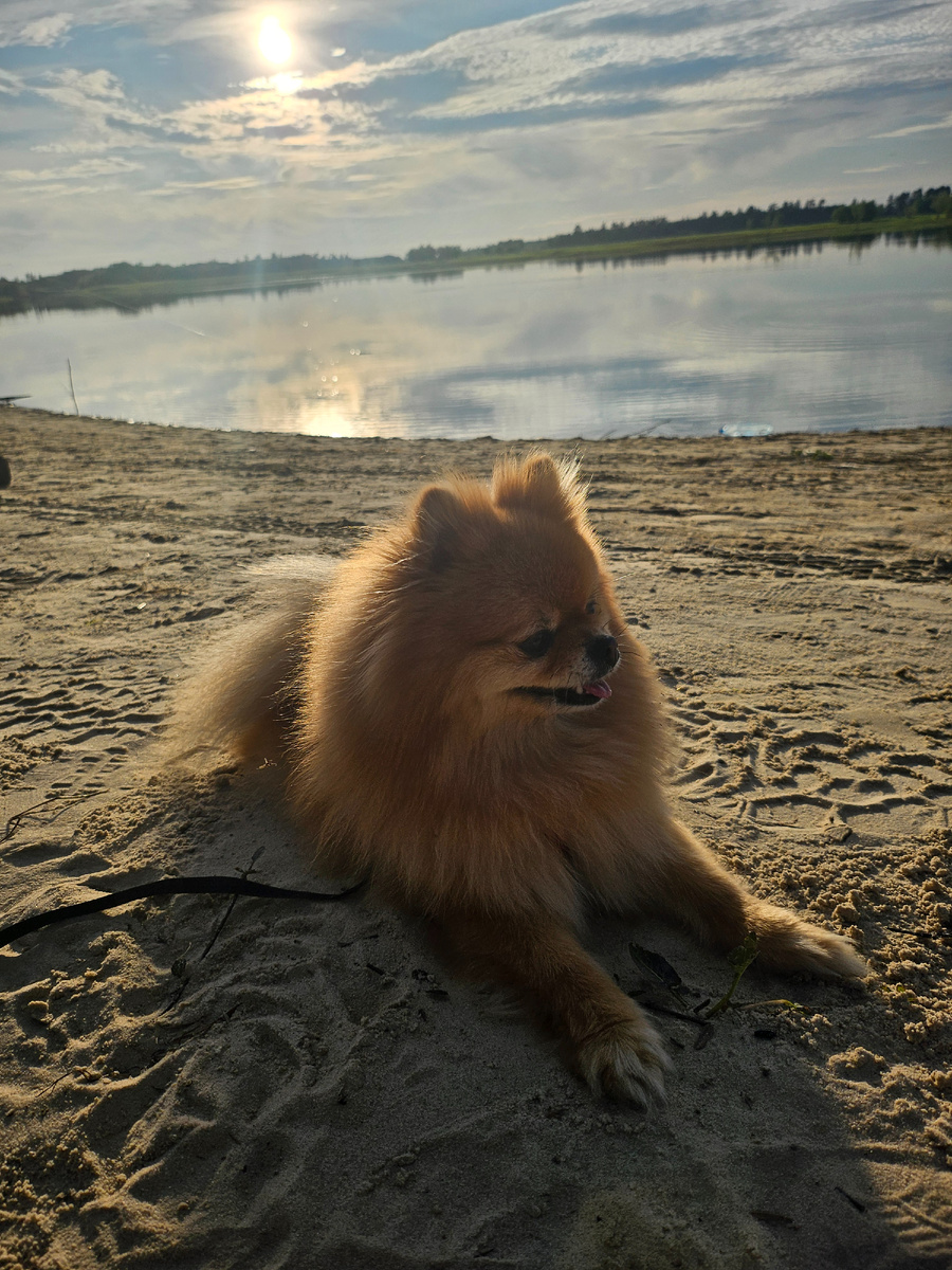 Личное фото