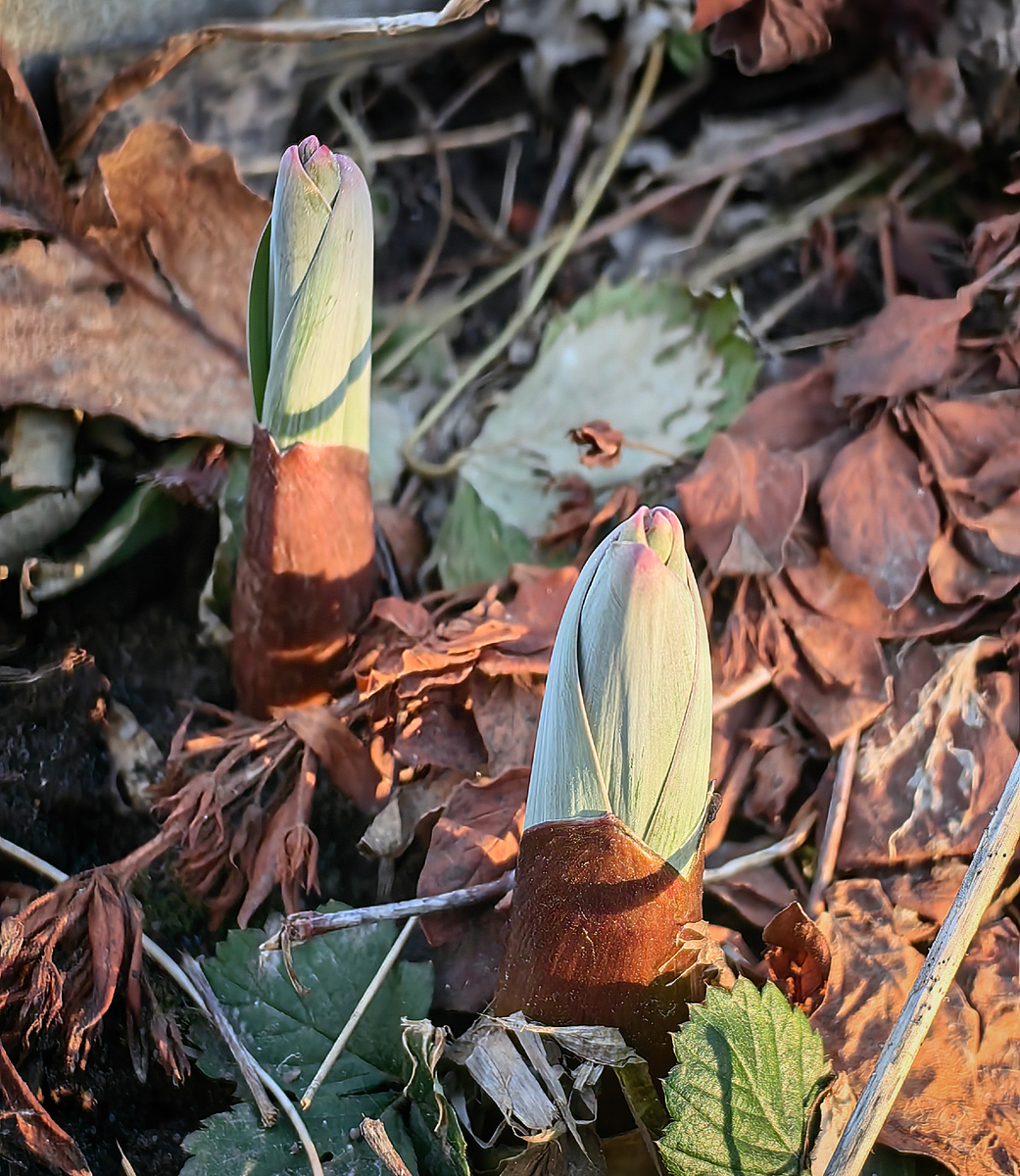 Фото от 22 марта 2025 года