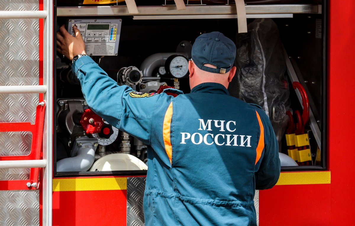 Эрик Романенко/ТАСС, архив