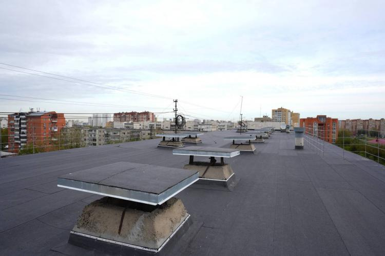 Фото: Сергей Мжельский, ИА "Тюменкая линия"